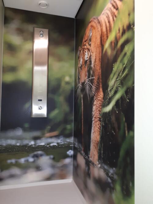 Impressie toilet - showergroep renovatie tiger display .j