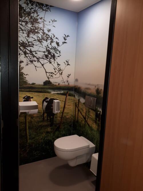 Impressie toilet groep renovatie  lanschap display 