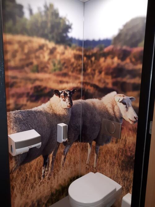 Impressie toilet groep renovatie  schapen display 